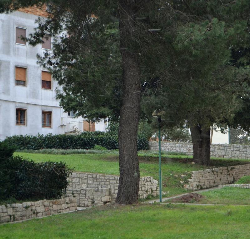 La Casa Di Olga Apartment Матера Екстериор снимка
